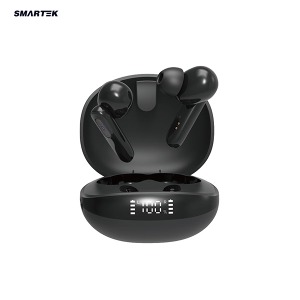 스마텍 STBT-ANC10 블루투스 이어폰